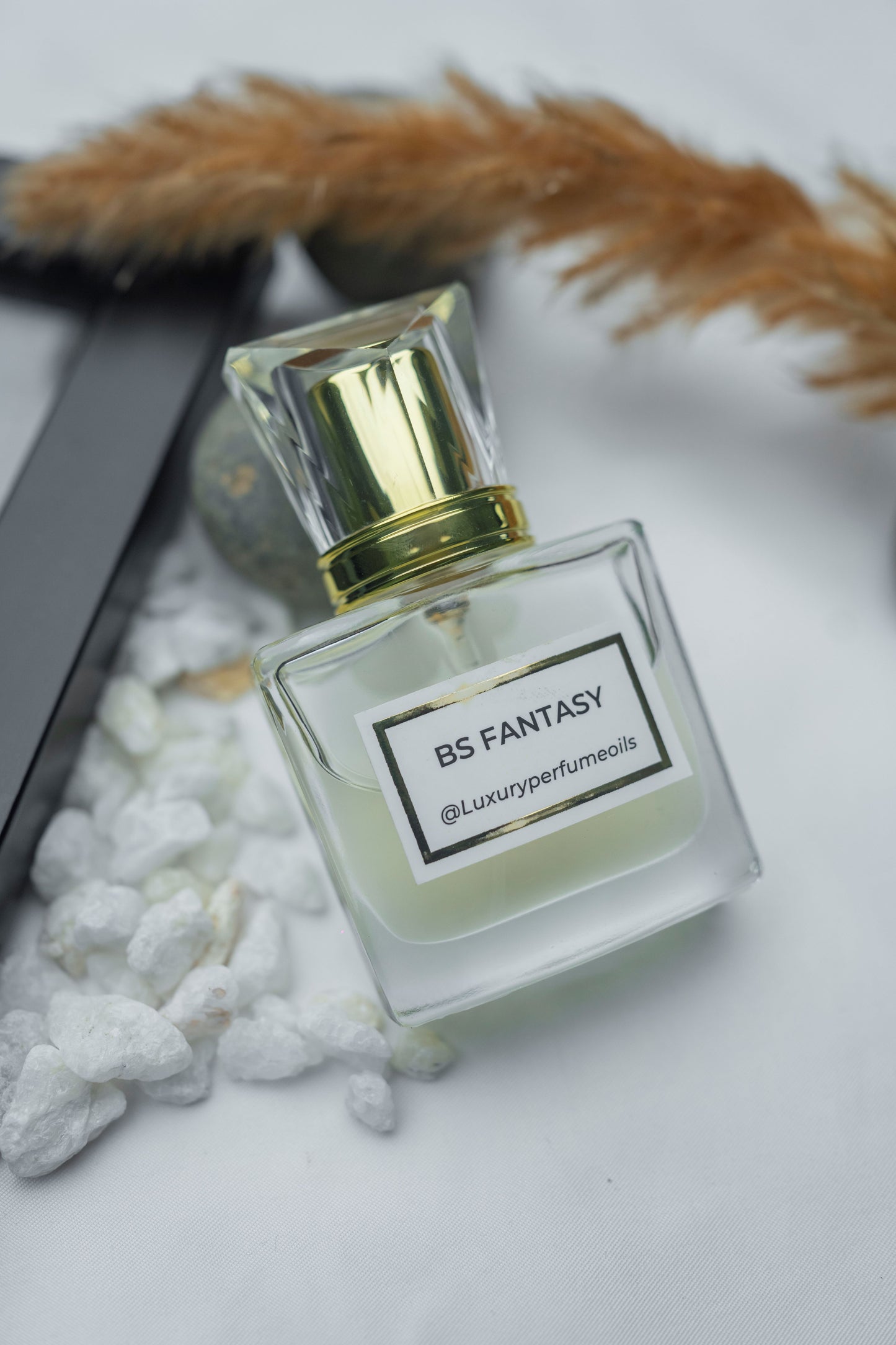 BS Fantasy( Inspired by Britney Spears)