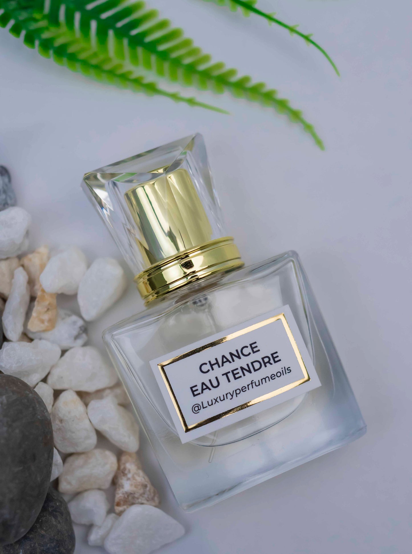 CHANCE EAU TENDRE (Inspired by Channel)