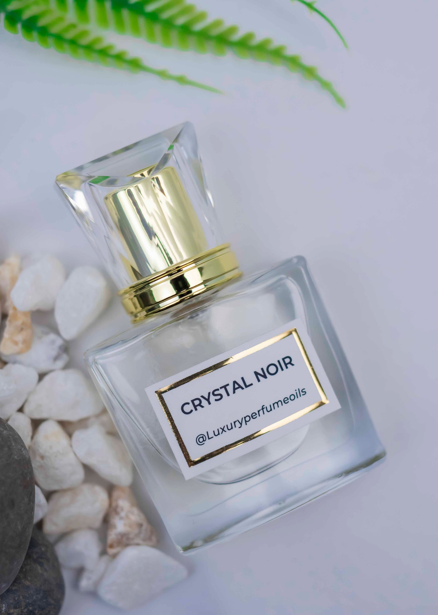 Crystal Noir (Inspired by Versace)