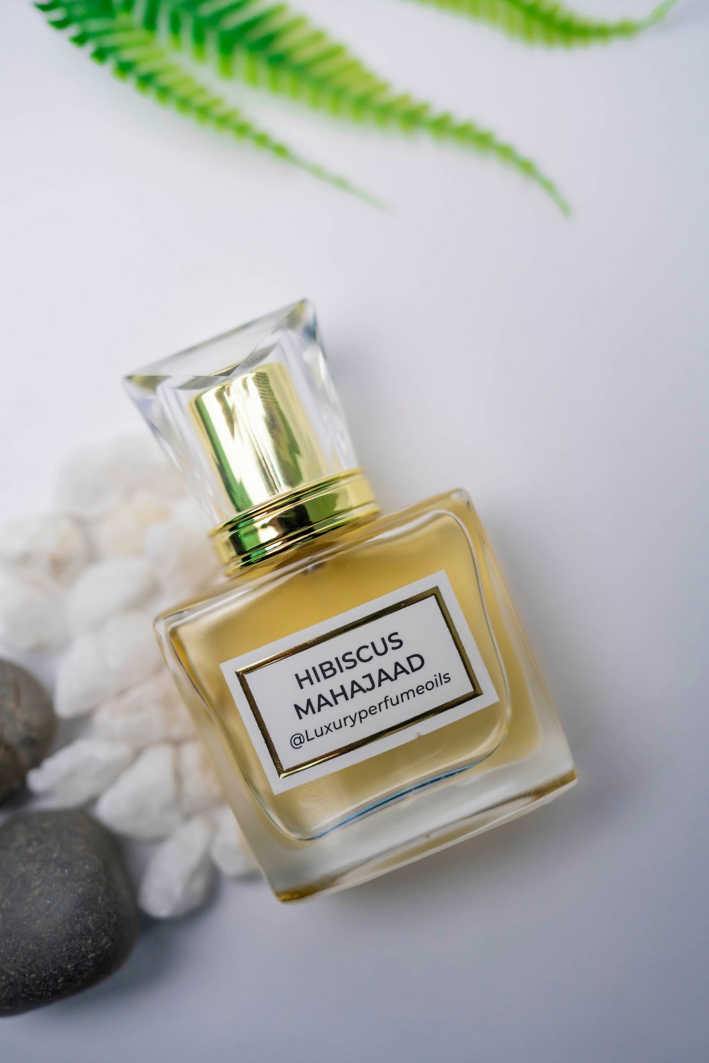 HIBISCUS MAHAJAD ( Inspired by MAISON CRIVELLI)