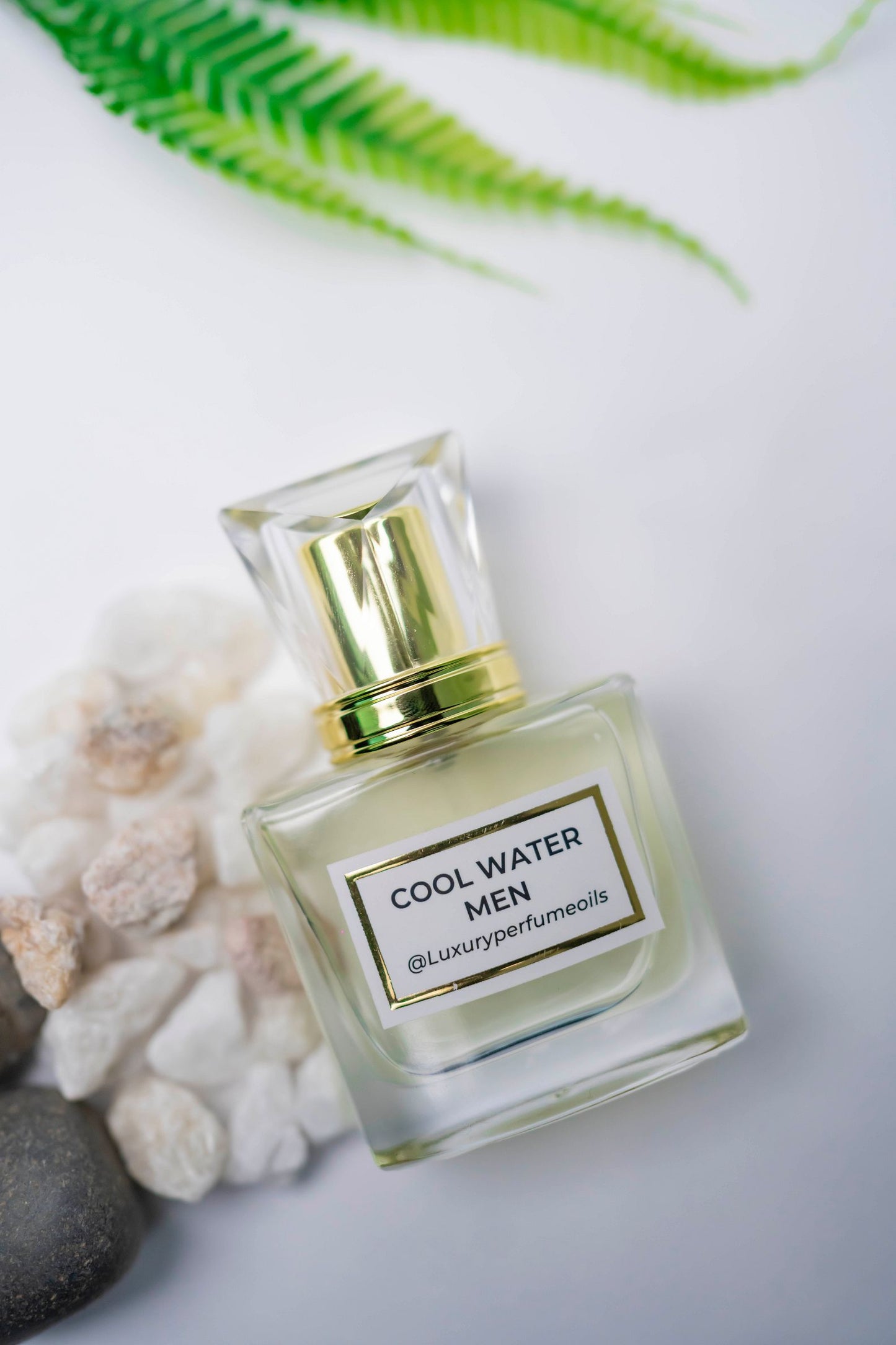 COOL WATER MEN ( Inspired by DAVIDOFF)