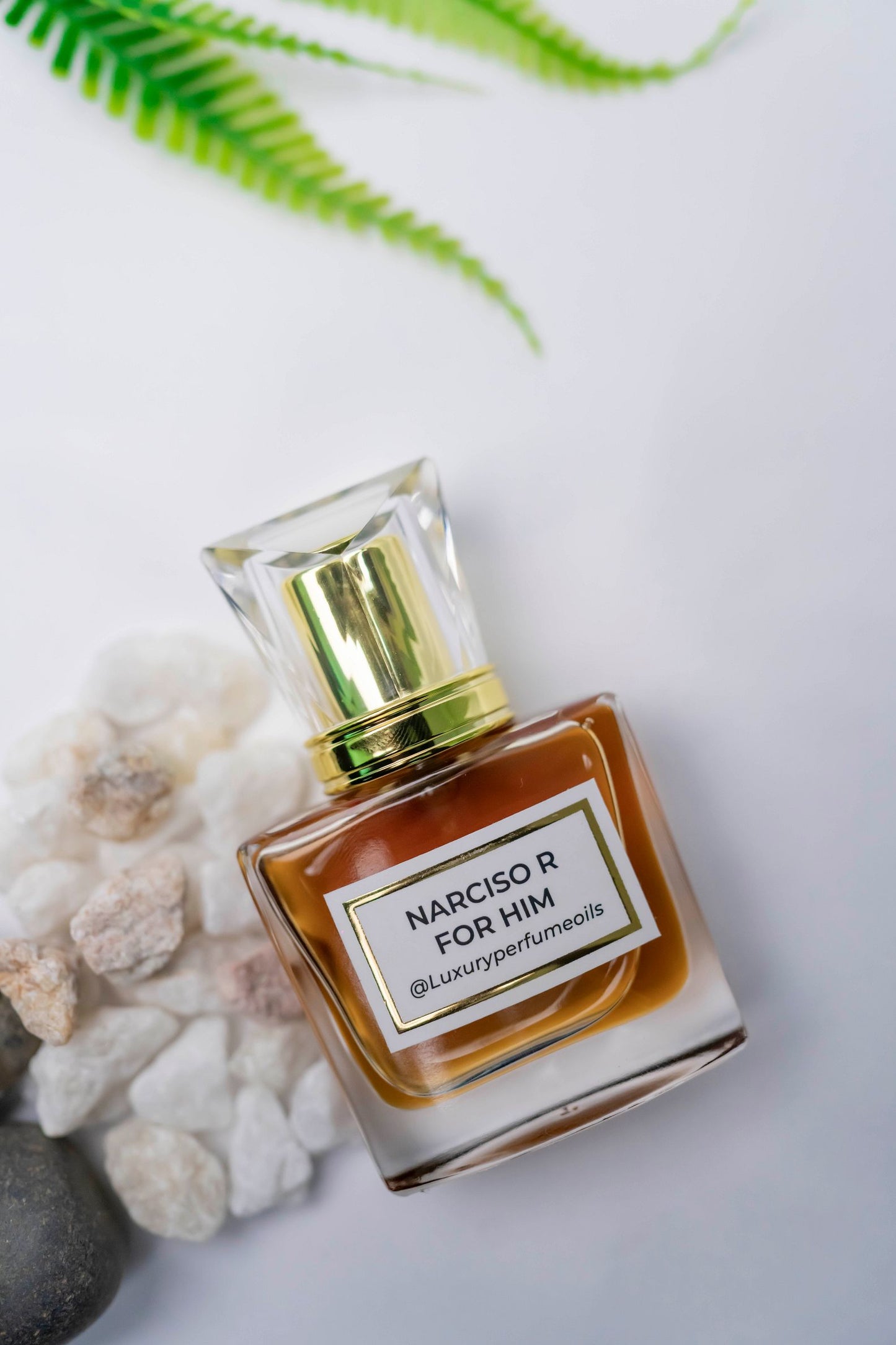 NARCISO R FOR HIM ( Inspired by NARCISO RODRIGUEZ)