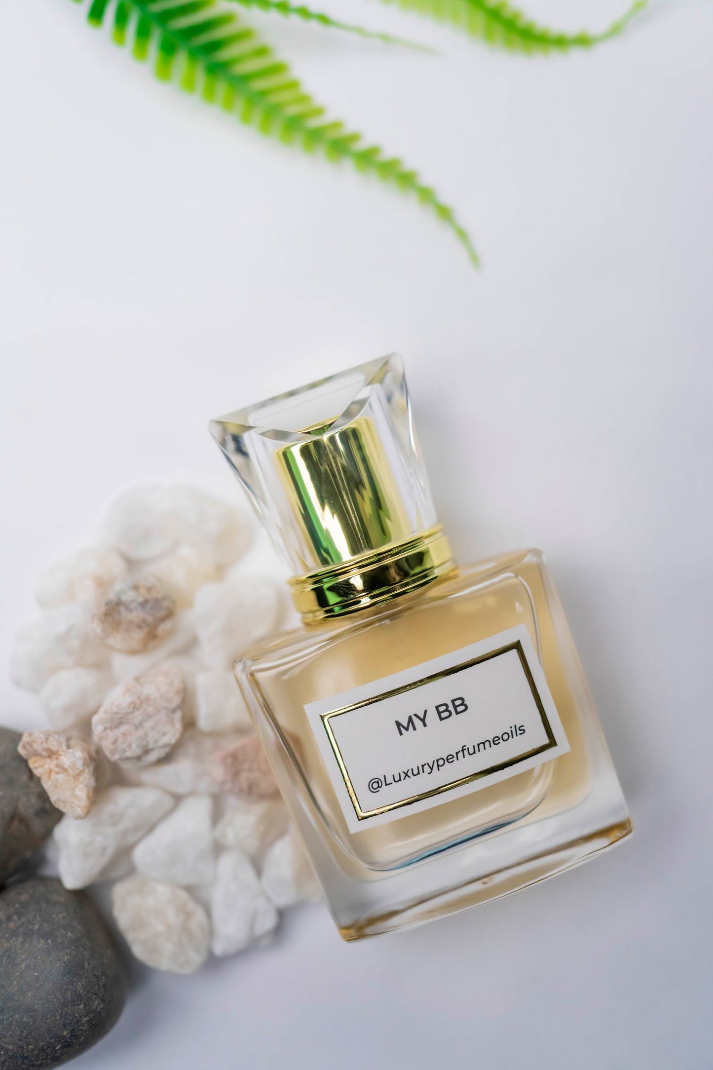 My BB (Inspired by Burberry)