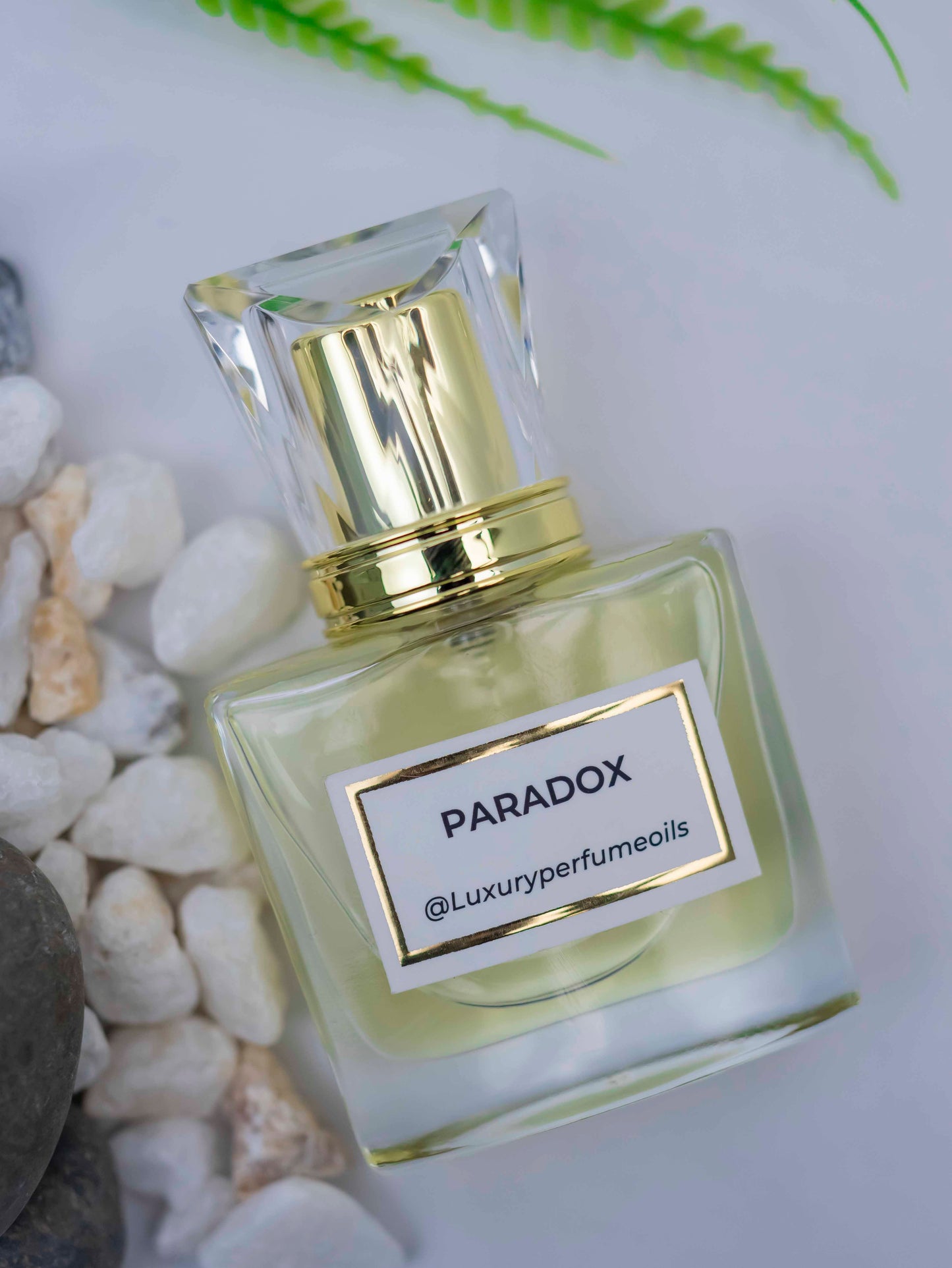 Paradox (Inspired by Prada)