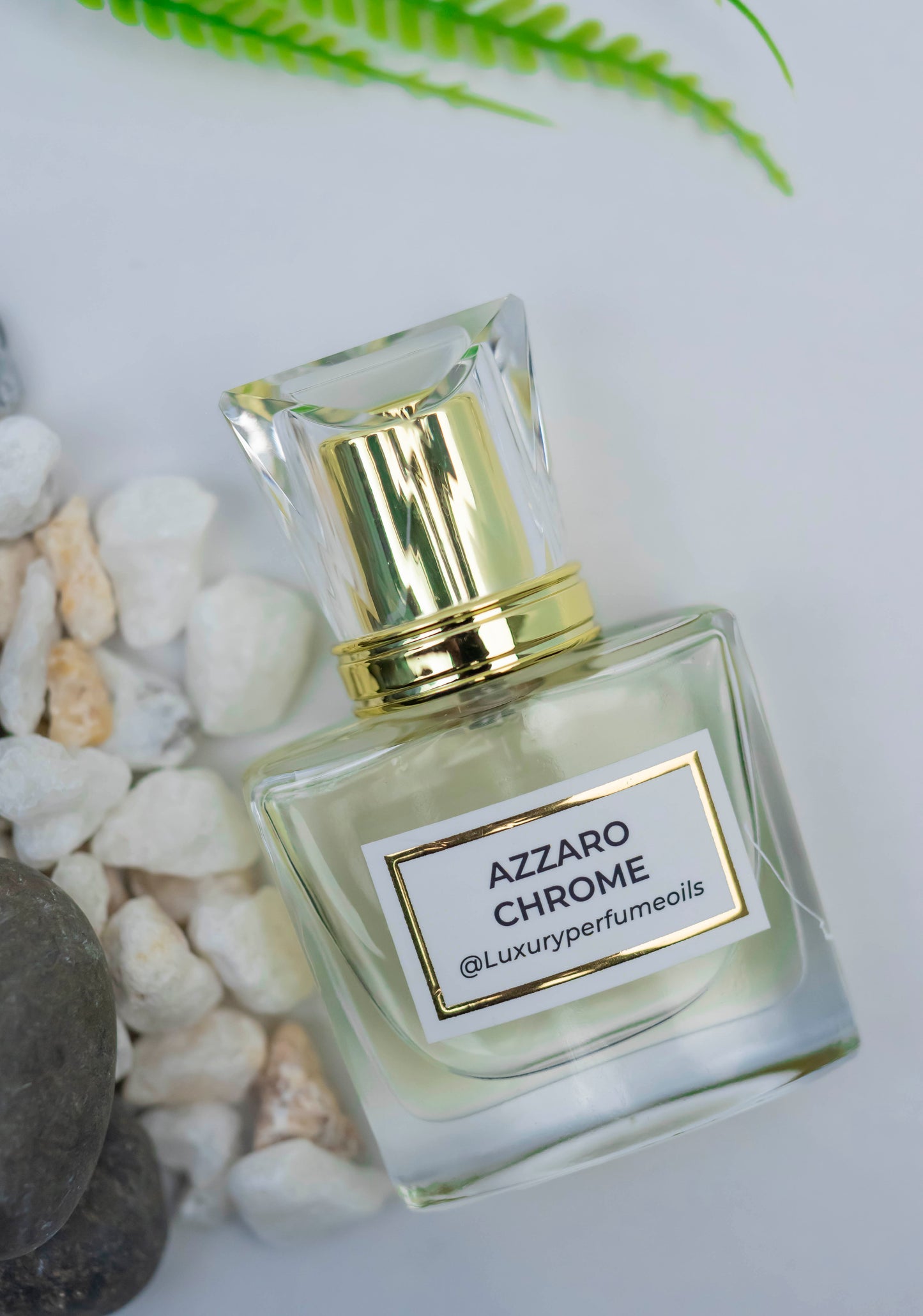 Azzaro Chrome (Inspired by Azzaro)