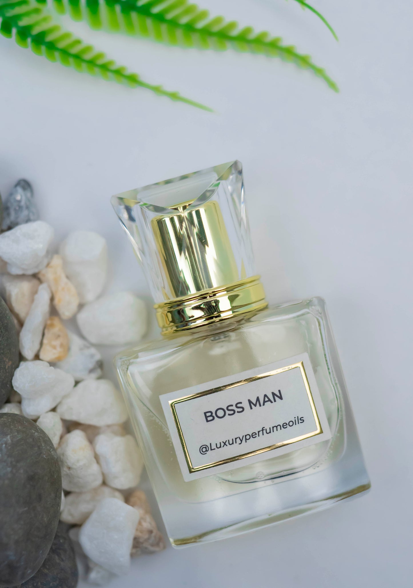 Boss Man (Inspired by Hugo)