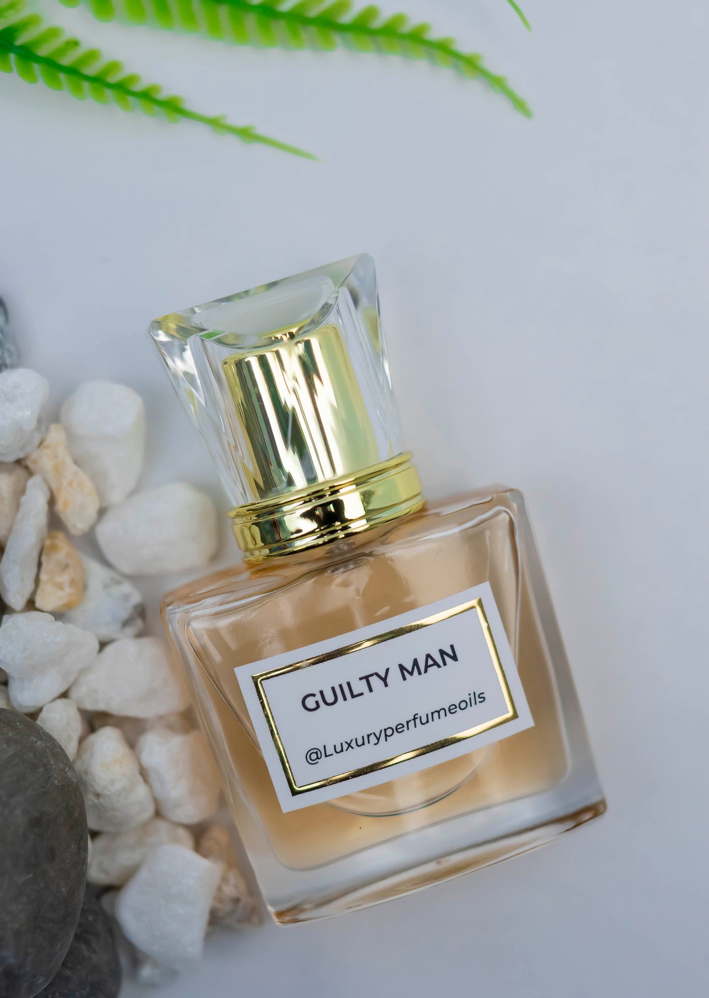 Guilty Man (Inspired by Gucci)