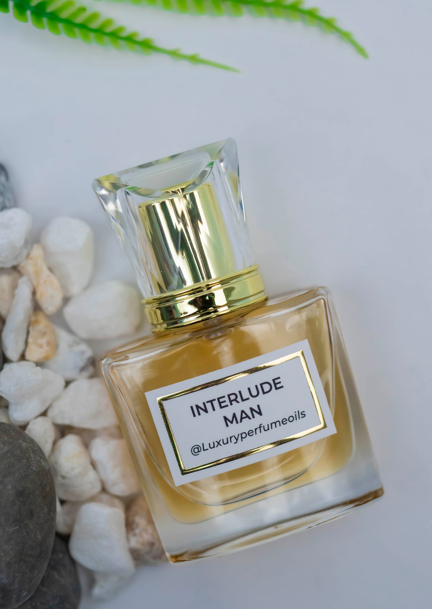 INTERLUDE MAN ( Inspired by AMOUAGE)
