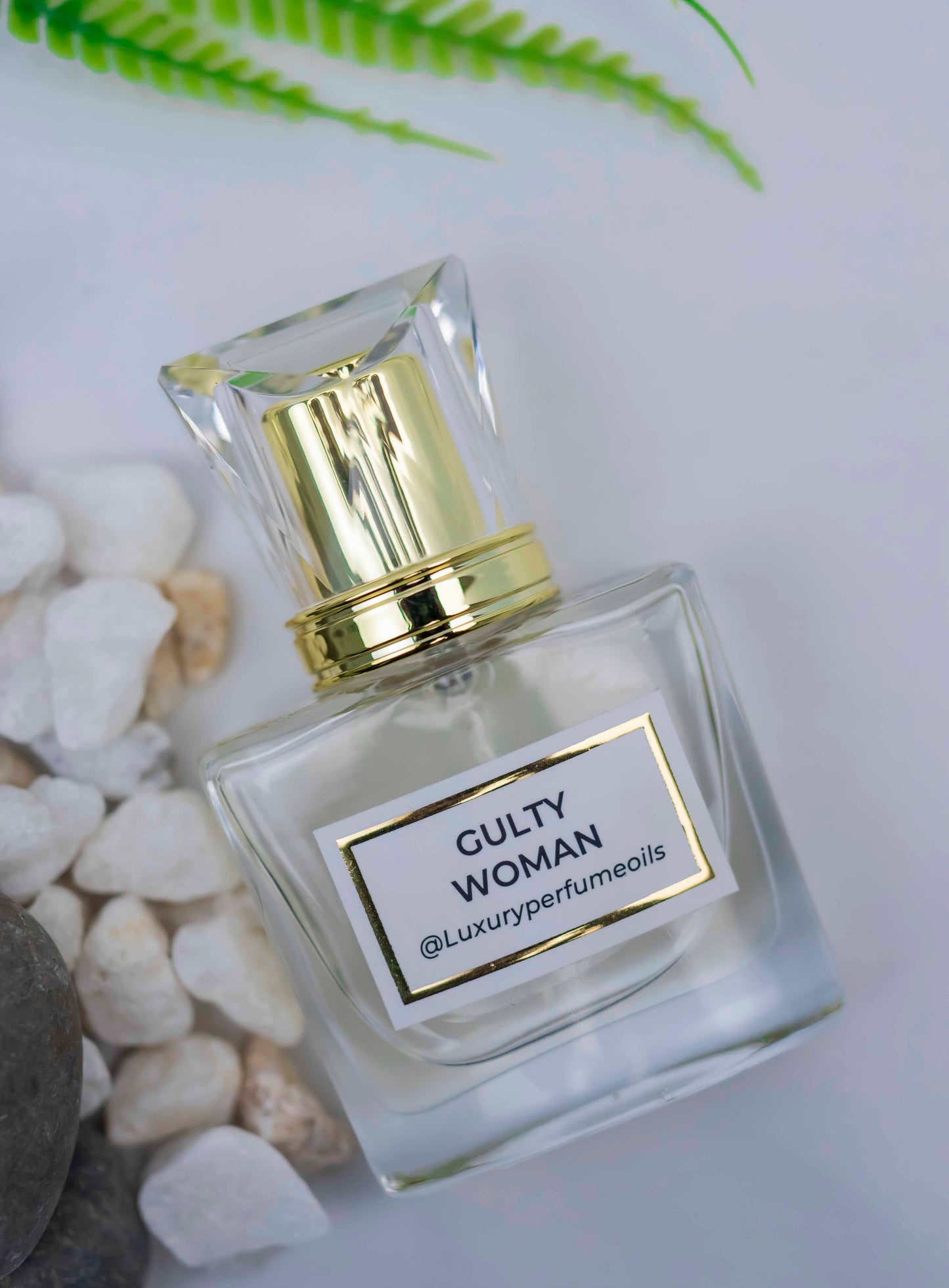 Guilty Woman (Inspired by Gucci)