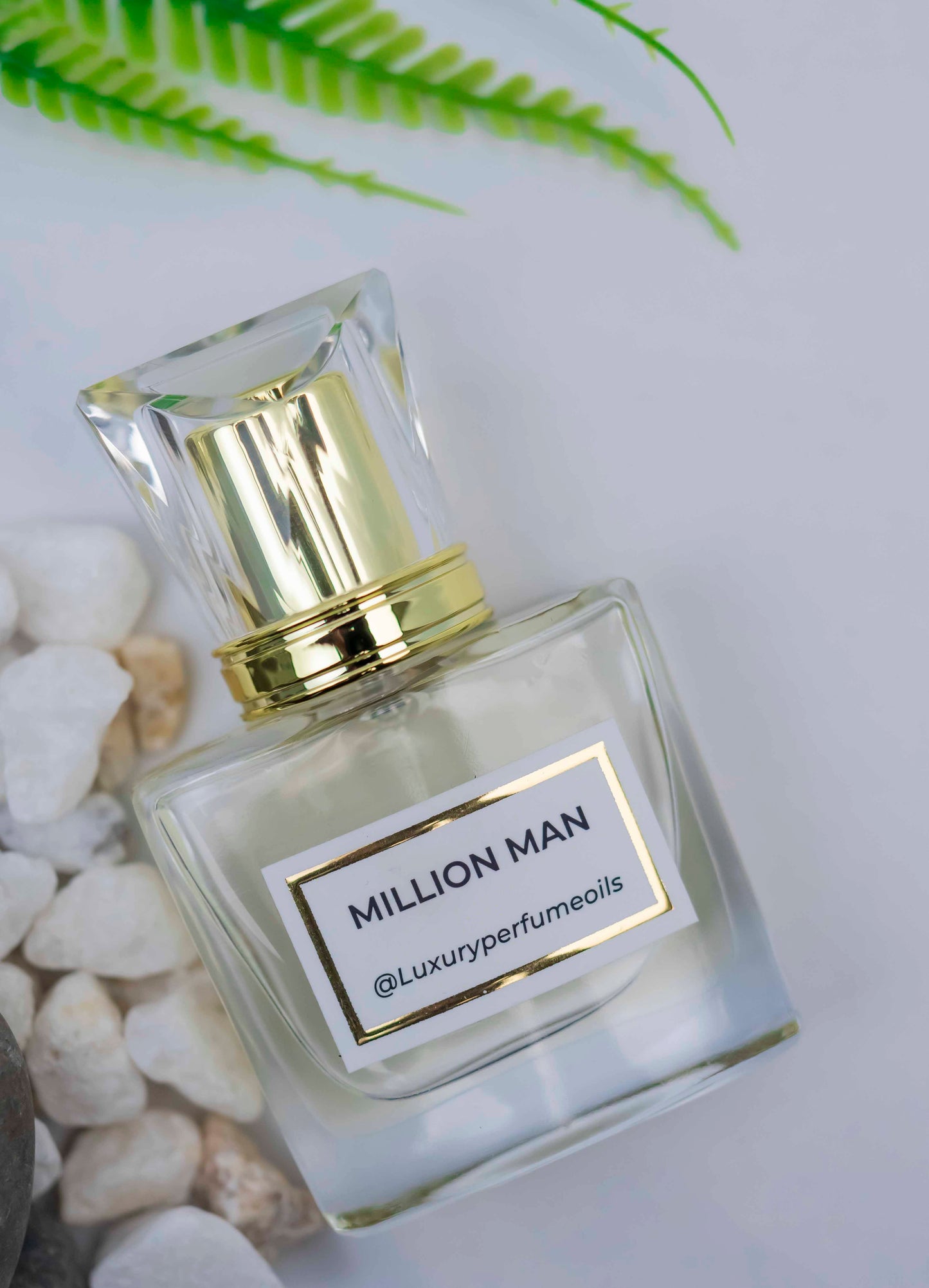 Million Man(Inspired by Pacco Rabbane)