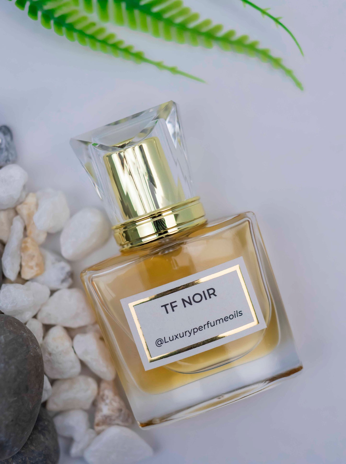 TF NOIR ( Inspired by Tom Ford)