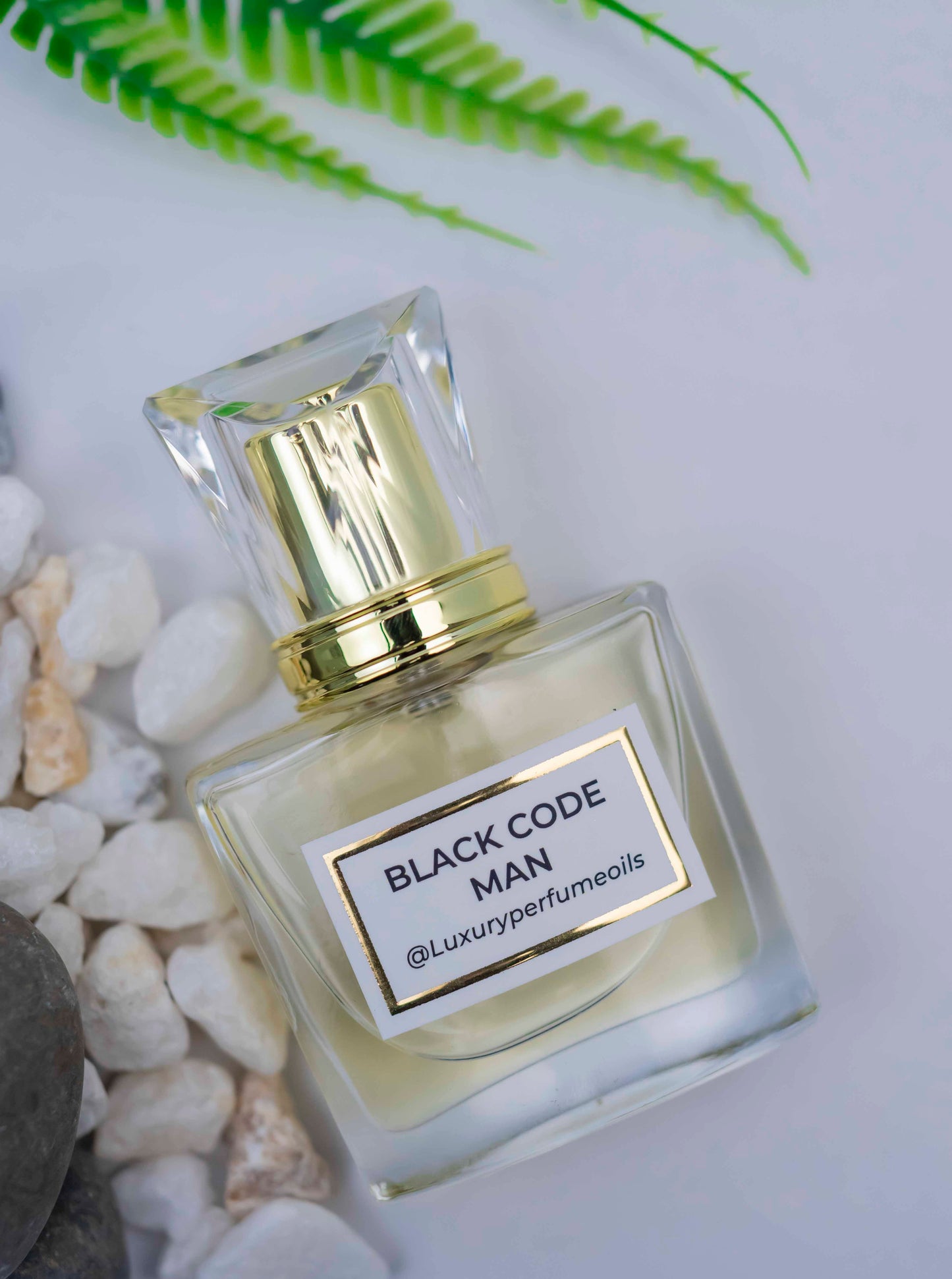 Black Code (Inspired by Armani)