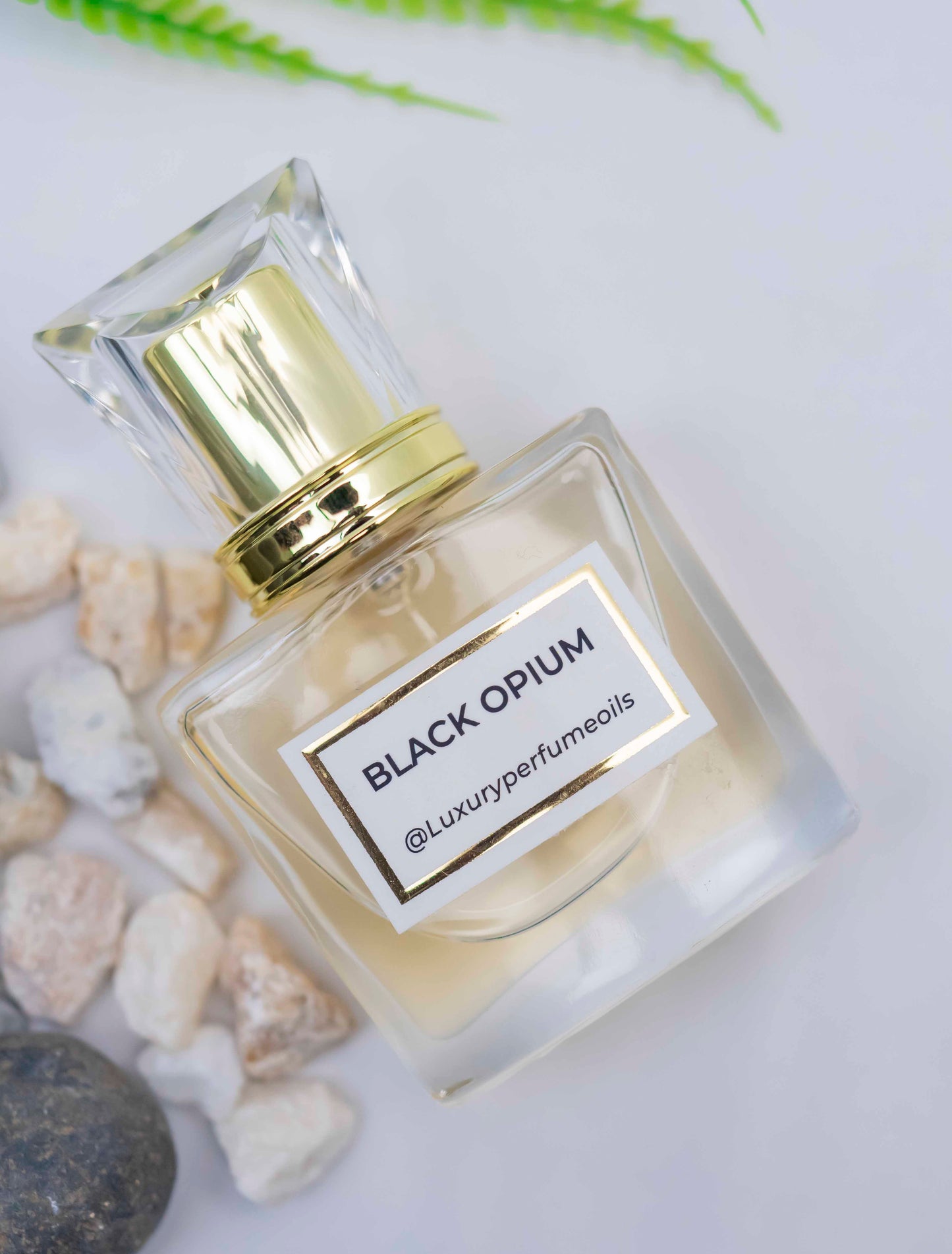 Black Opium (Inspired by Ysl)