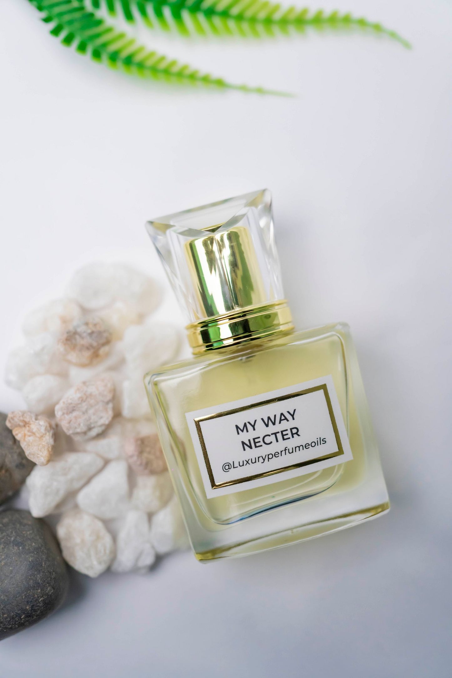 MY WAY NECTAR  ( Inspired by GIORGIO ARMANI)