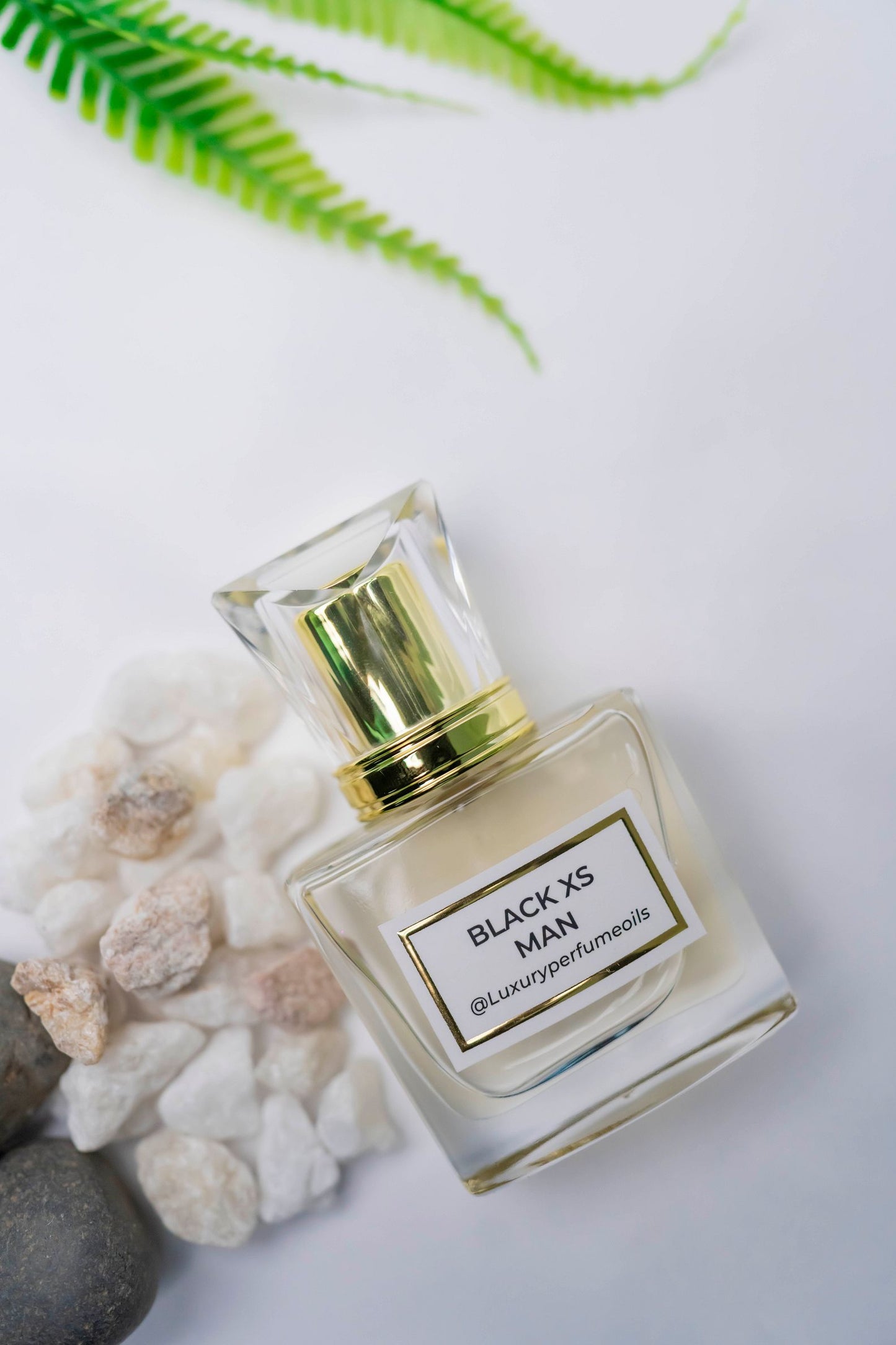 Black xs Man(Inspired by Pacco Rabbane)