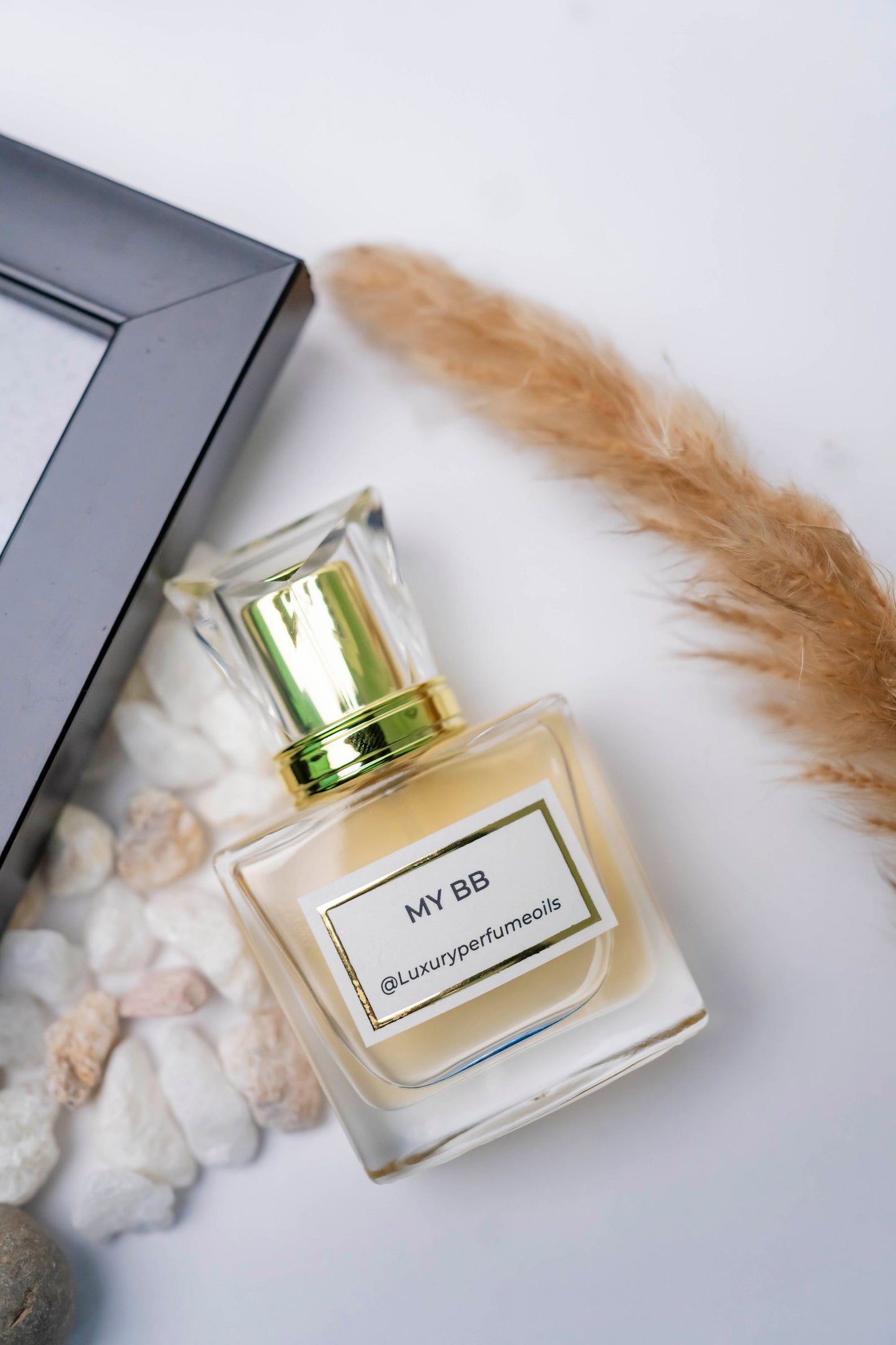 My BB (Inspired by Burberry)