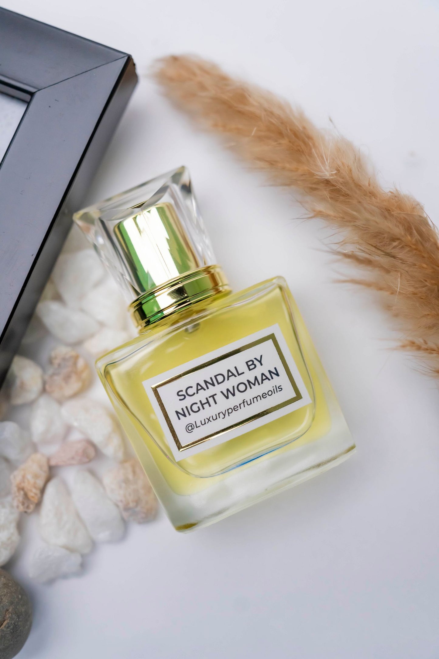 SCANDAL BY NIGHT WOMAN ( Inspired by JEAN PAUL GAULTIER)