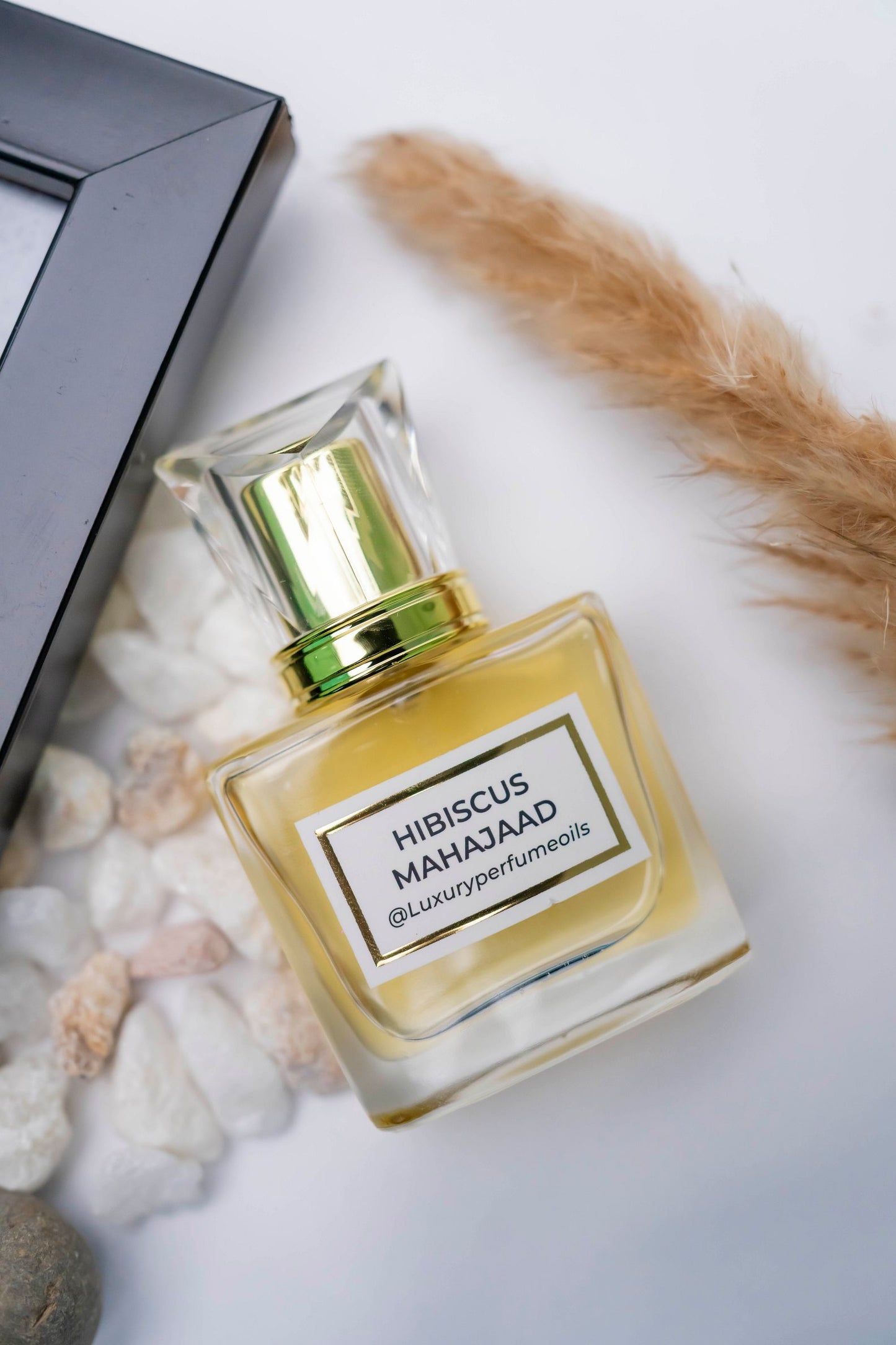 HIBISCUS MAHAJAD ( Inspired by MAISON CRIVELLI)