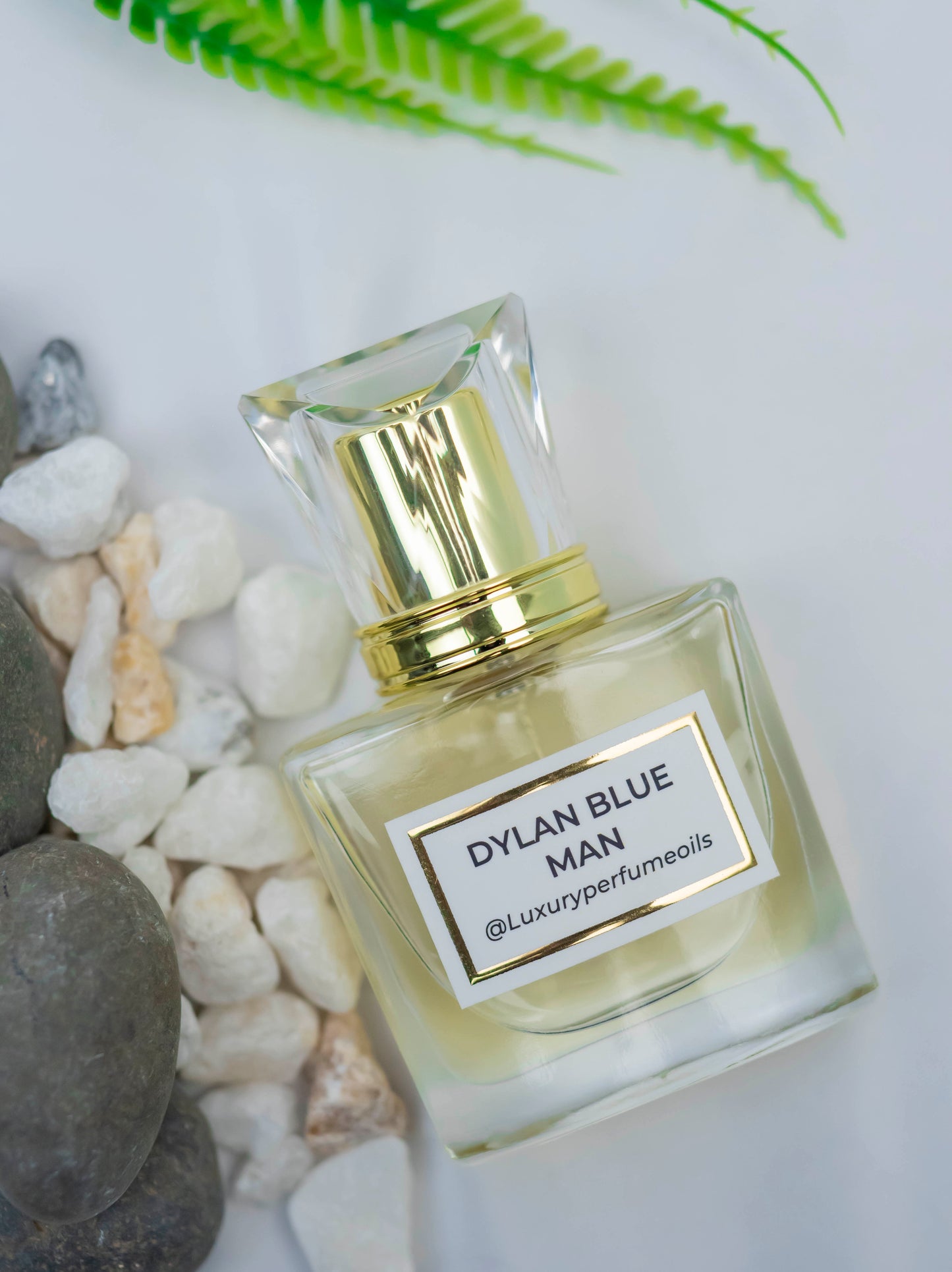 Dylan Blue Man (Inspired by Versace)