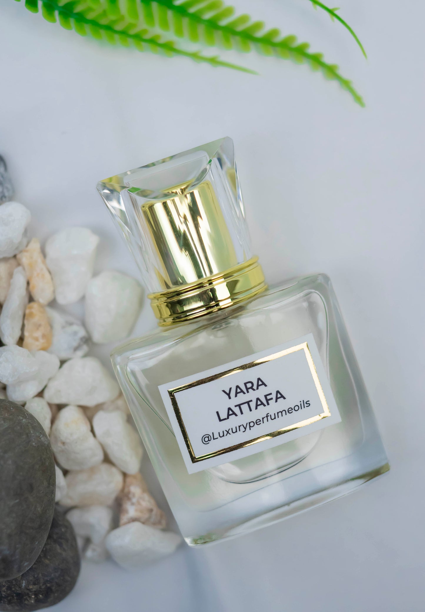 YARA LATTAFA ( Inspired by Lattafa)