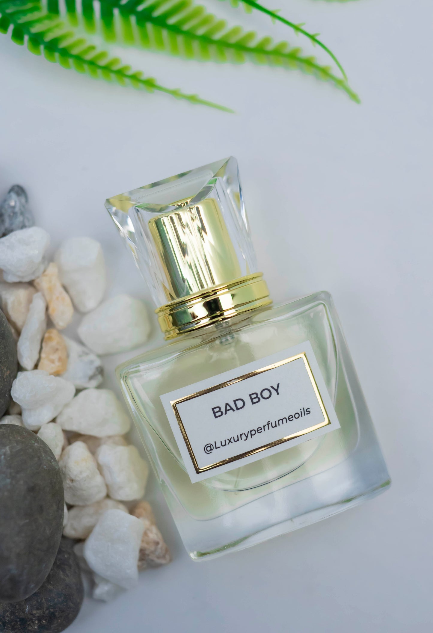 BAD BOY ( Inspired by CAROLINA HERRERA)