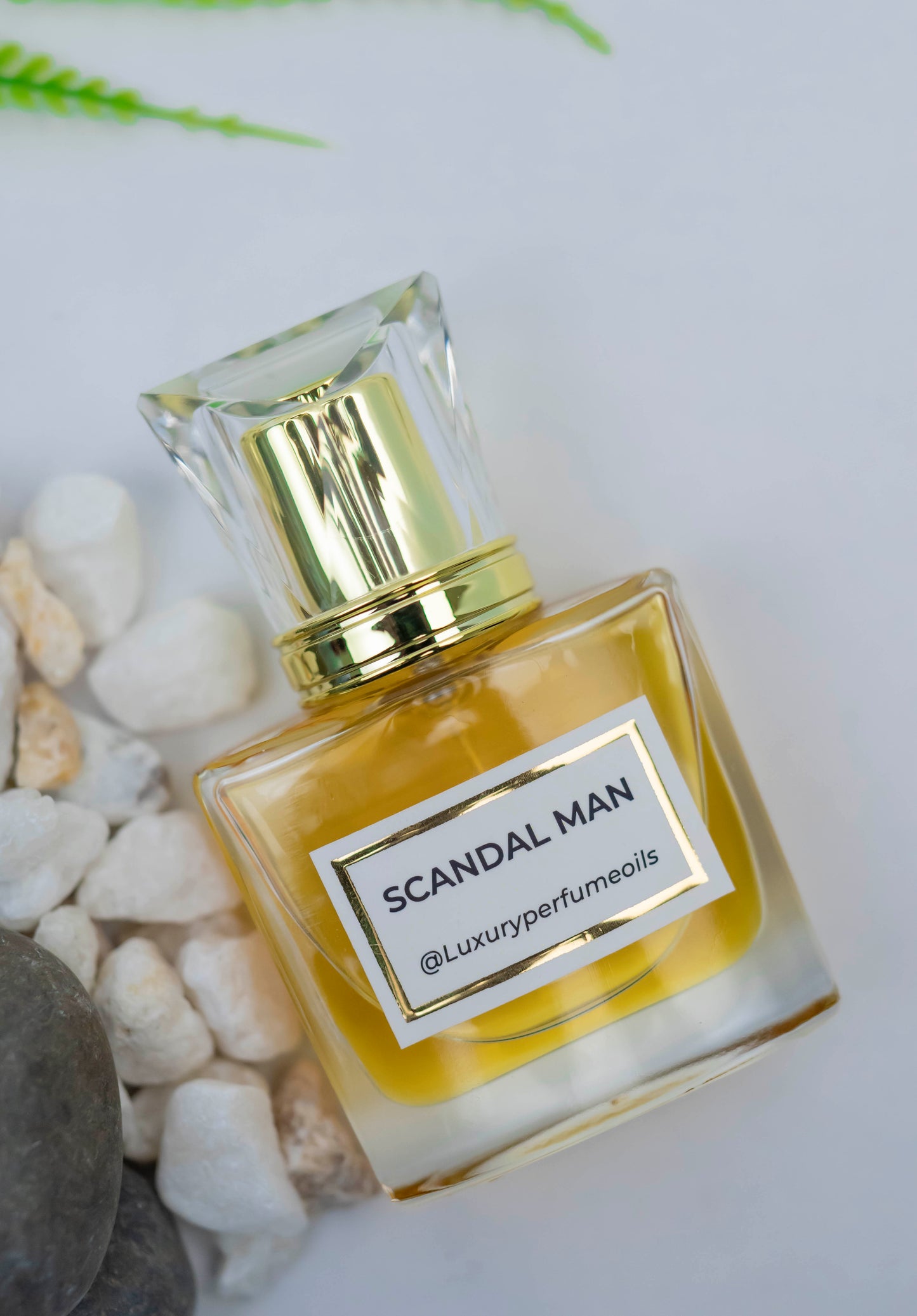 Scandal Man (Inspired by Jean Paul)