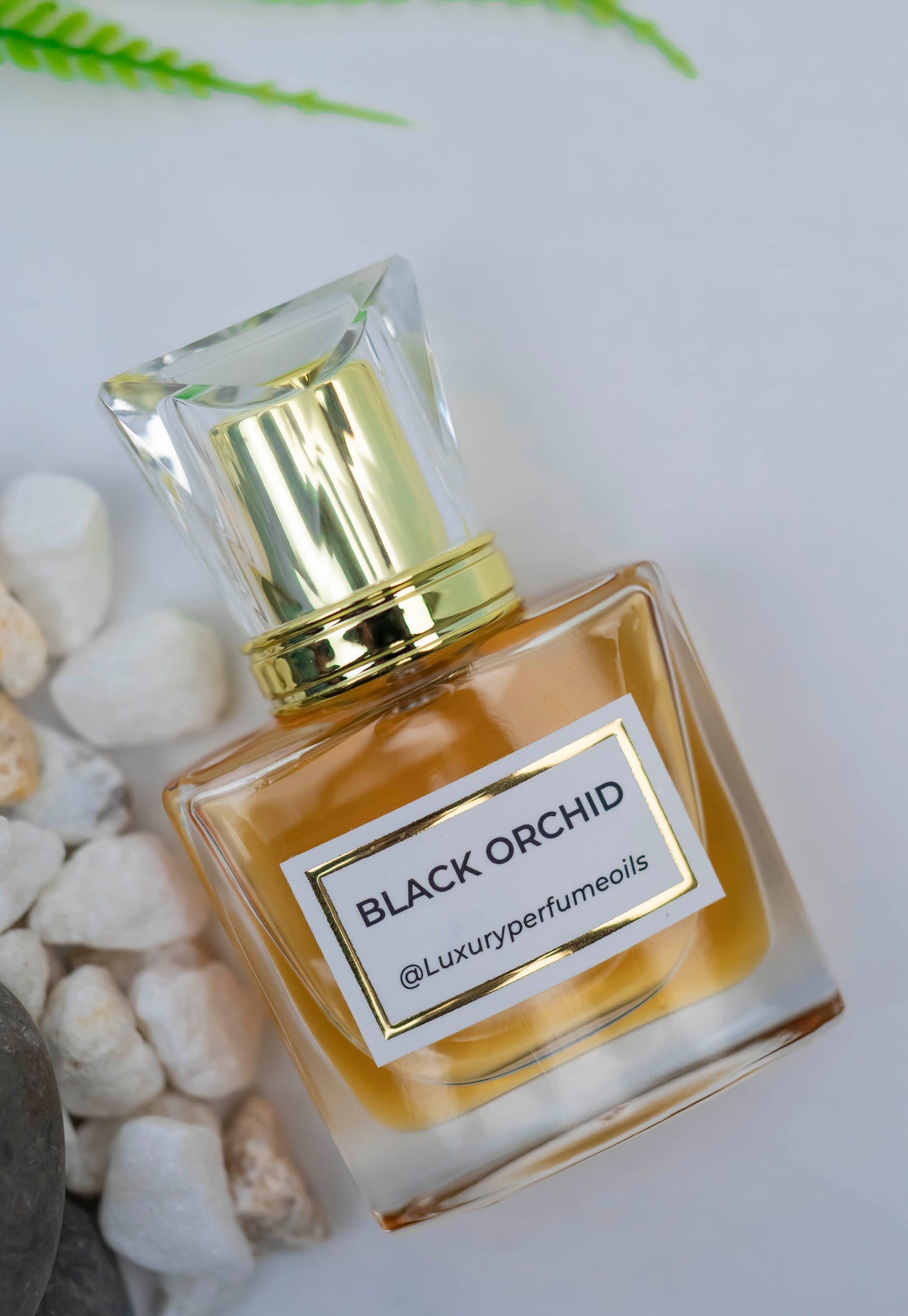 BLACK ORCHID (Inspired by TOM FORD)
