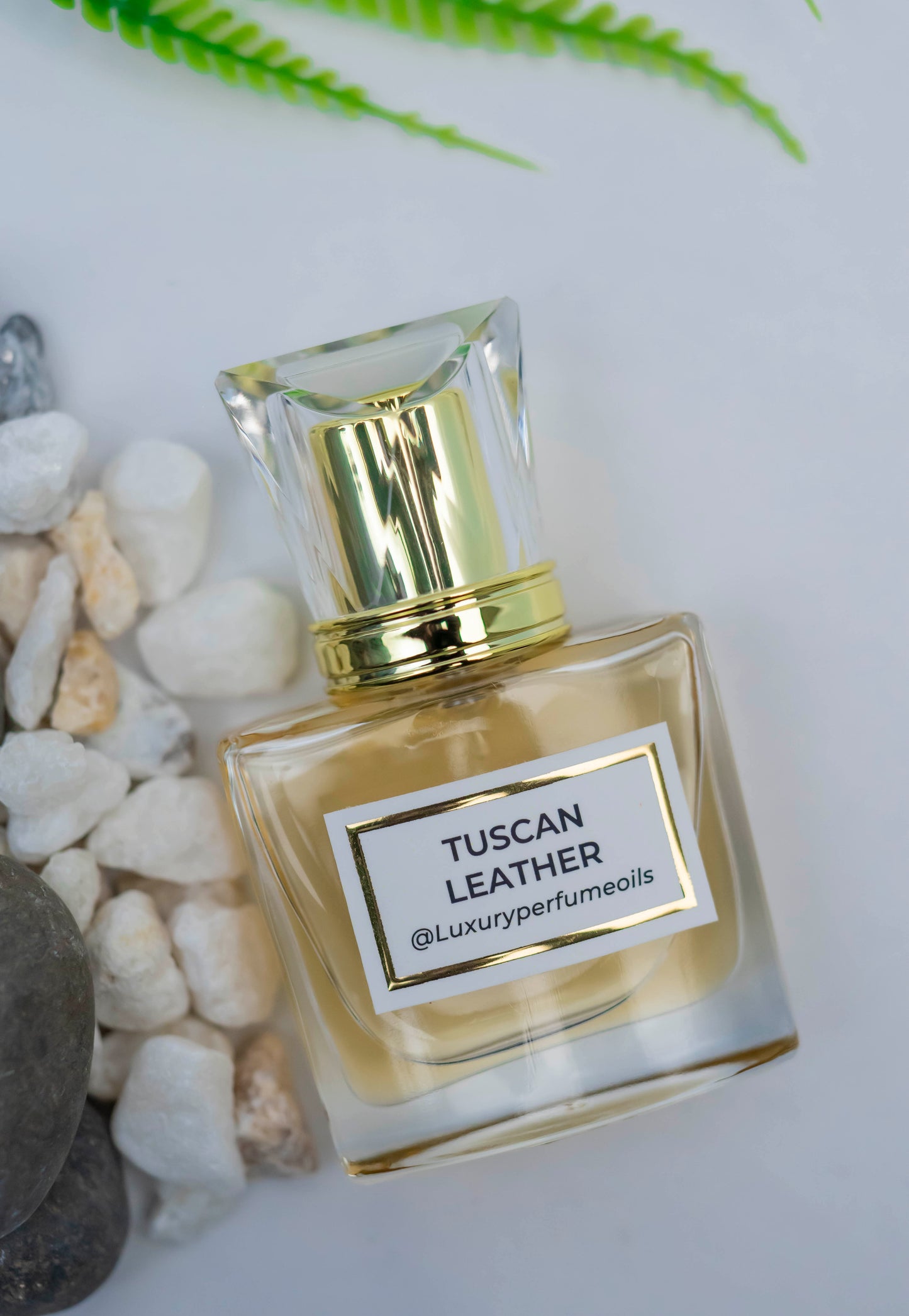 Tuscan leather (Inspired by T Ford)