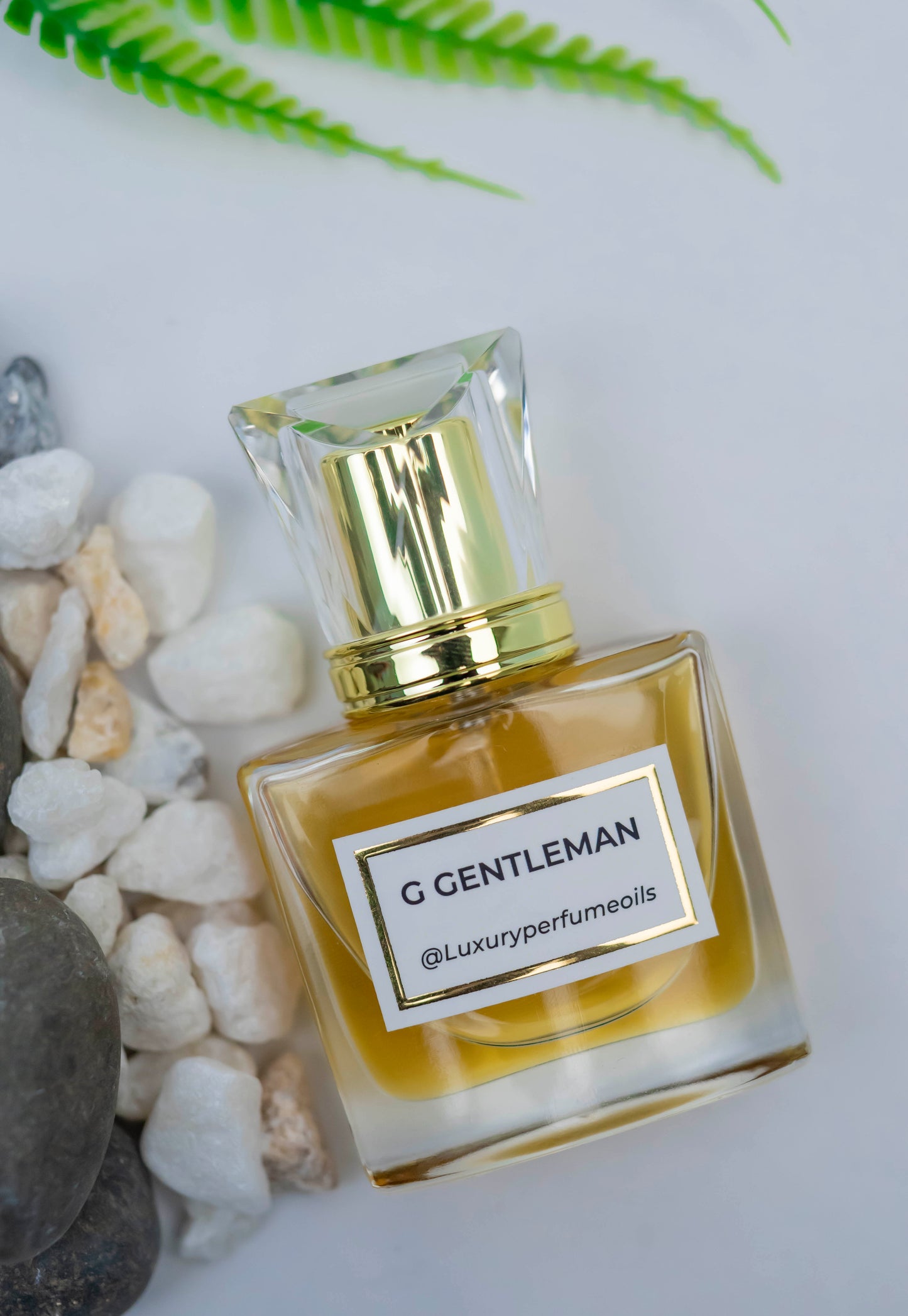 G Gentleman (Inspired by Givenchy)