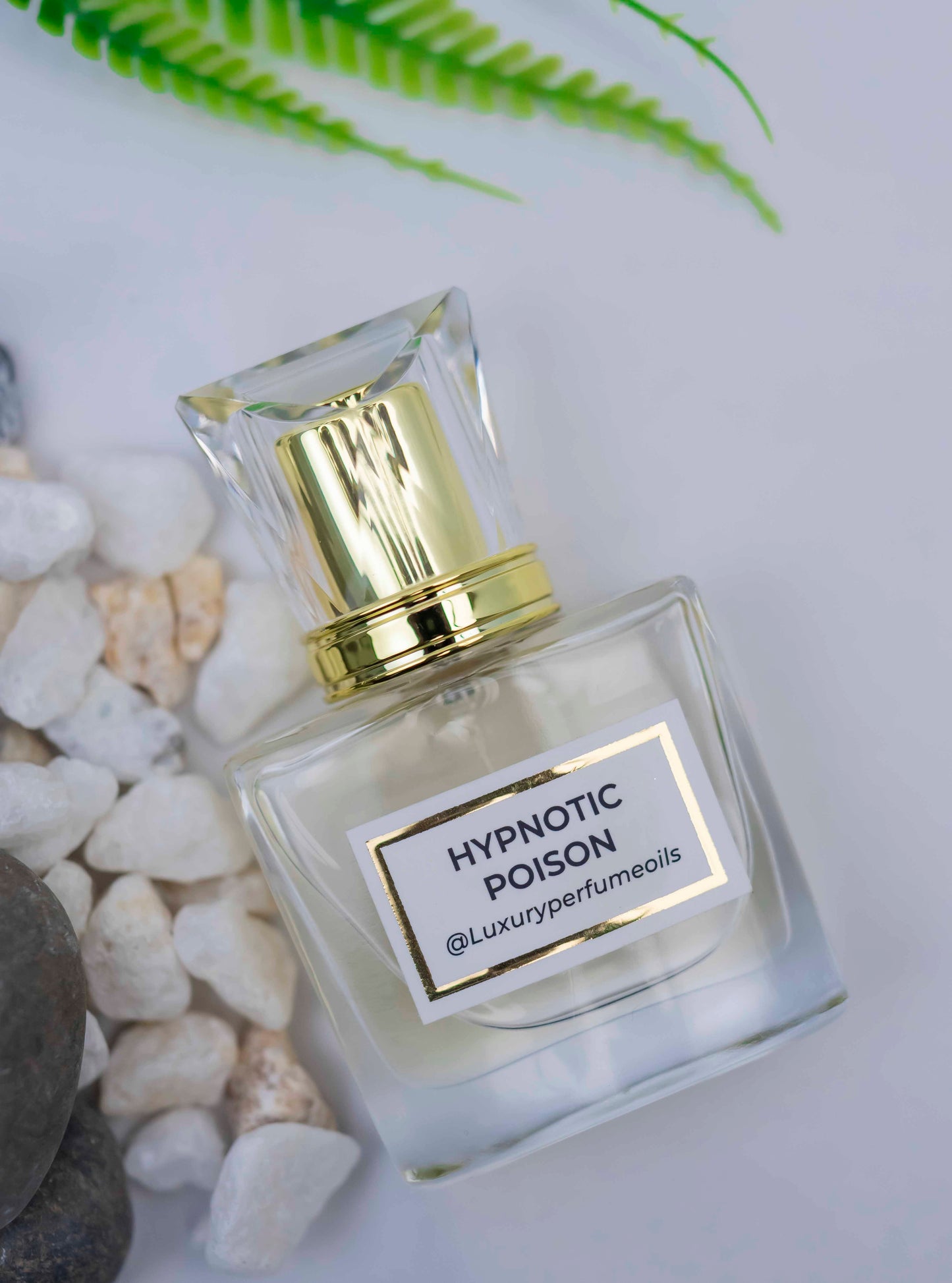 Hipnotic Poison (Inspired by Dior)