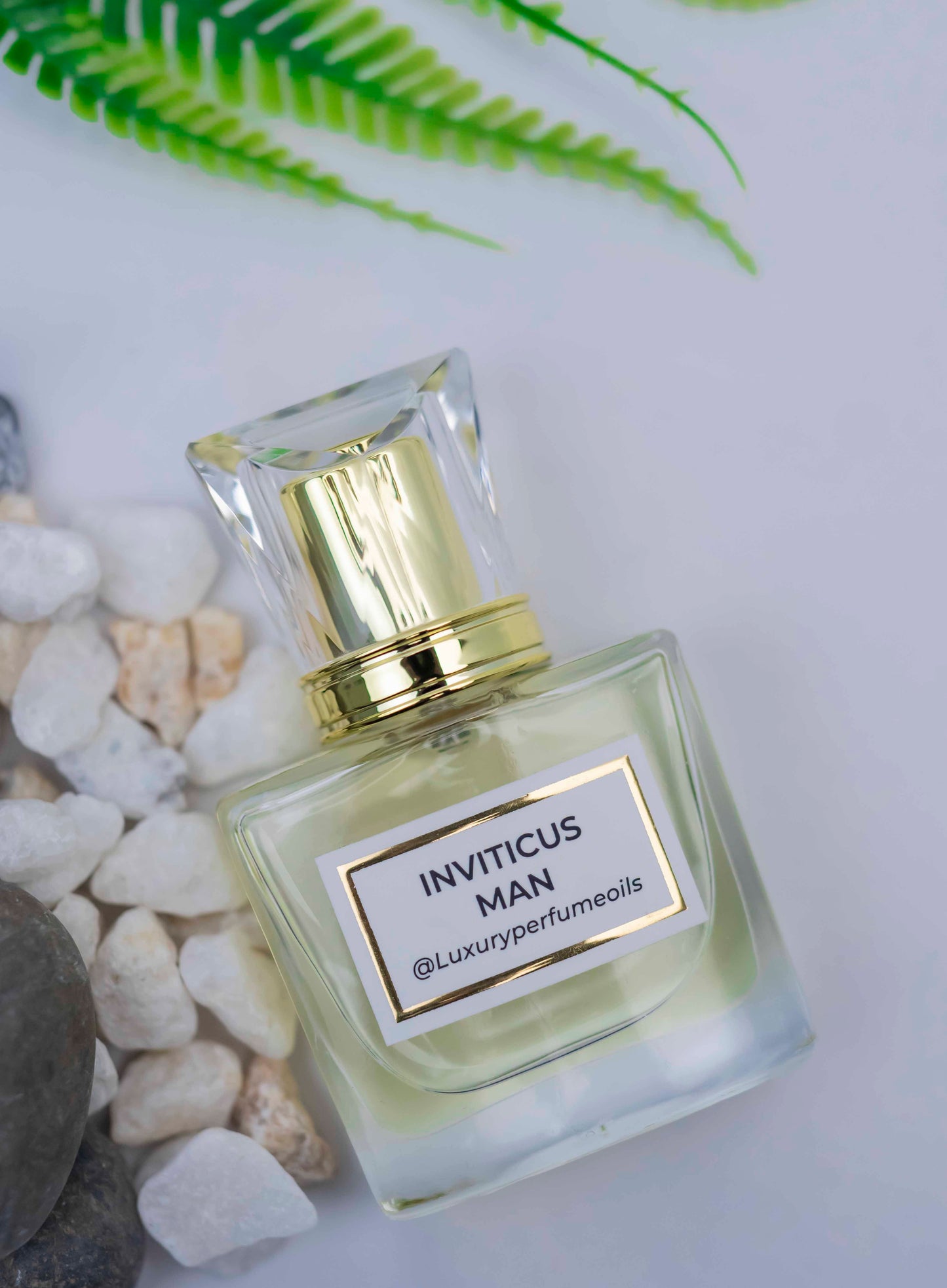 Invitucus (Inspired by Pacco Rabbane)