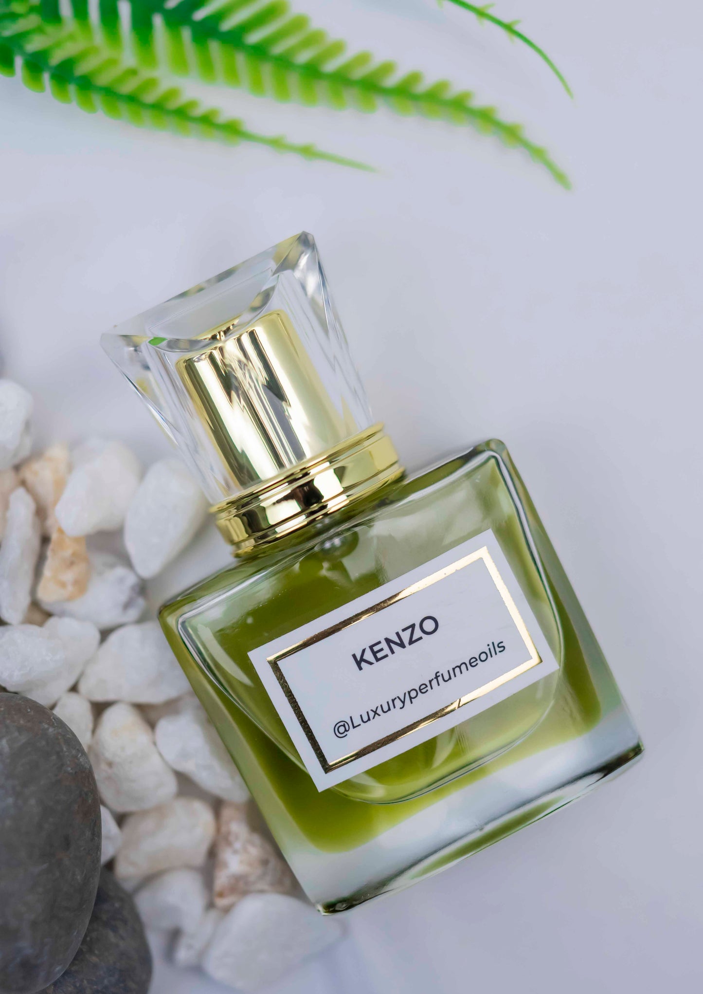 Kenzo (Inspired by Kenzo)