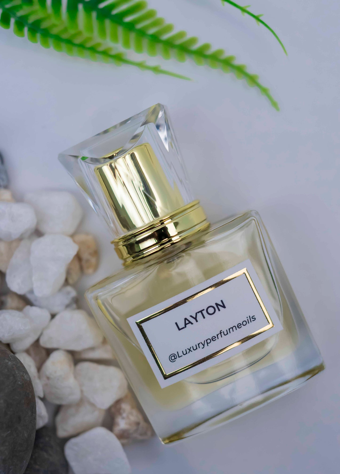 Layton (Inspired by De Marly)