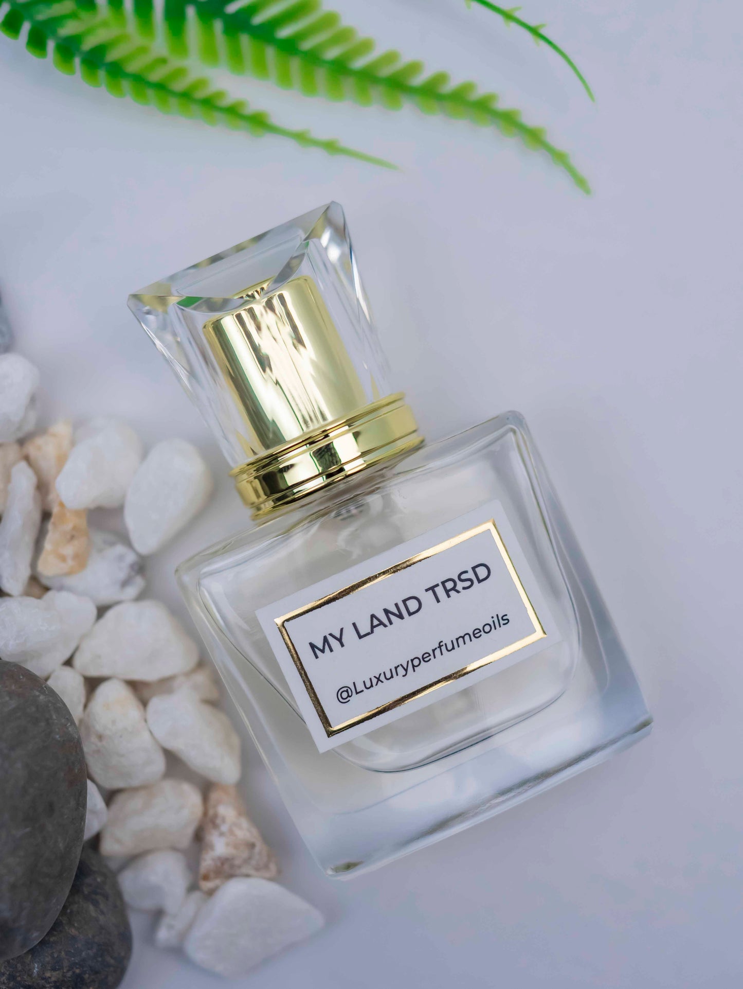 MY LAND TRD MAN ( Inspired by TRUSARDI)