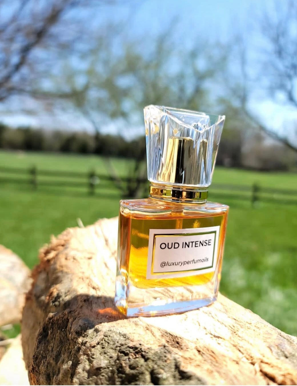 Oud Intense (Inspired by Gucci)