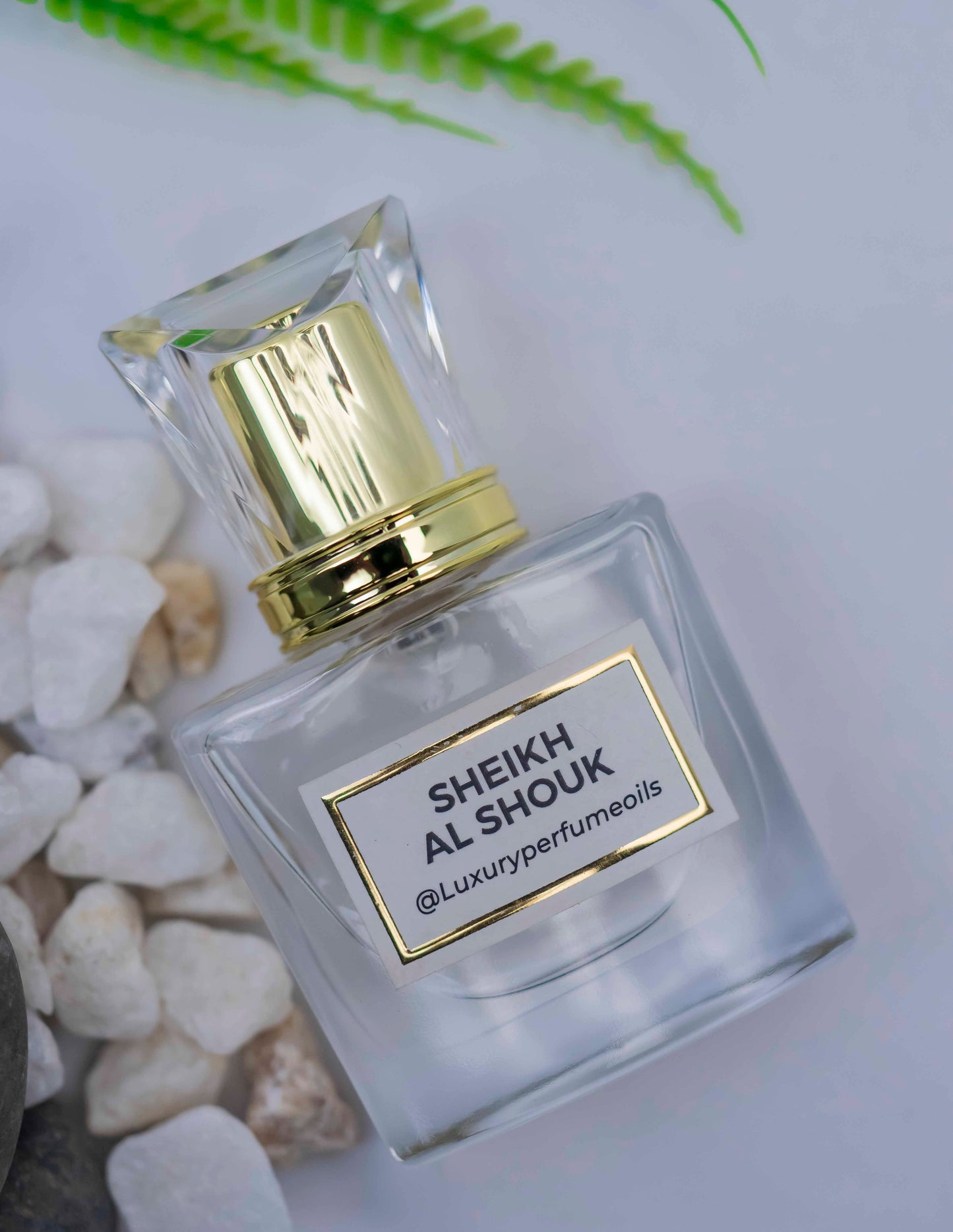 SHEIK AL SHUYUKH  (Inspired by Lattaffa)