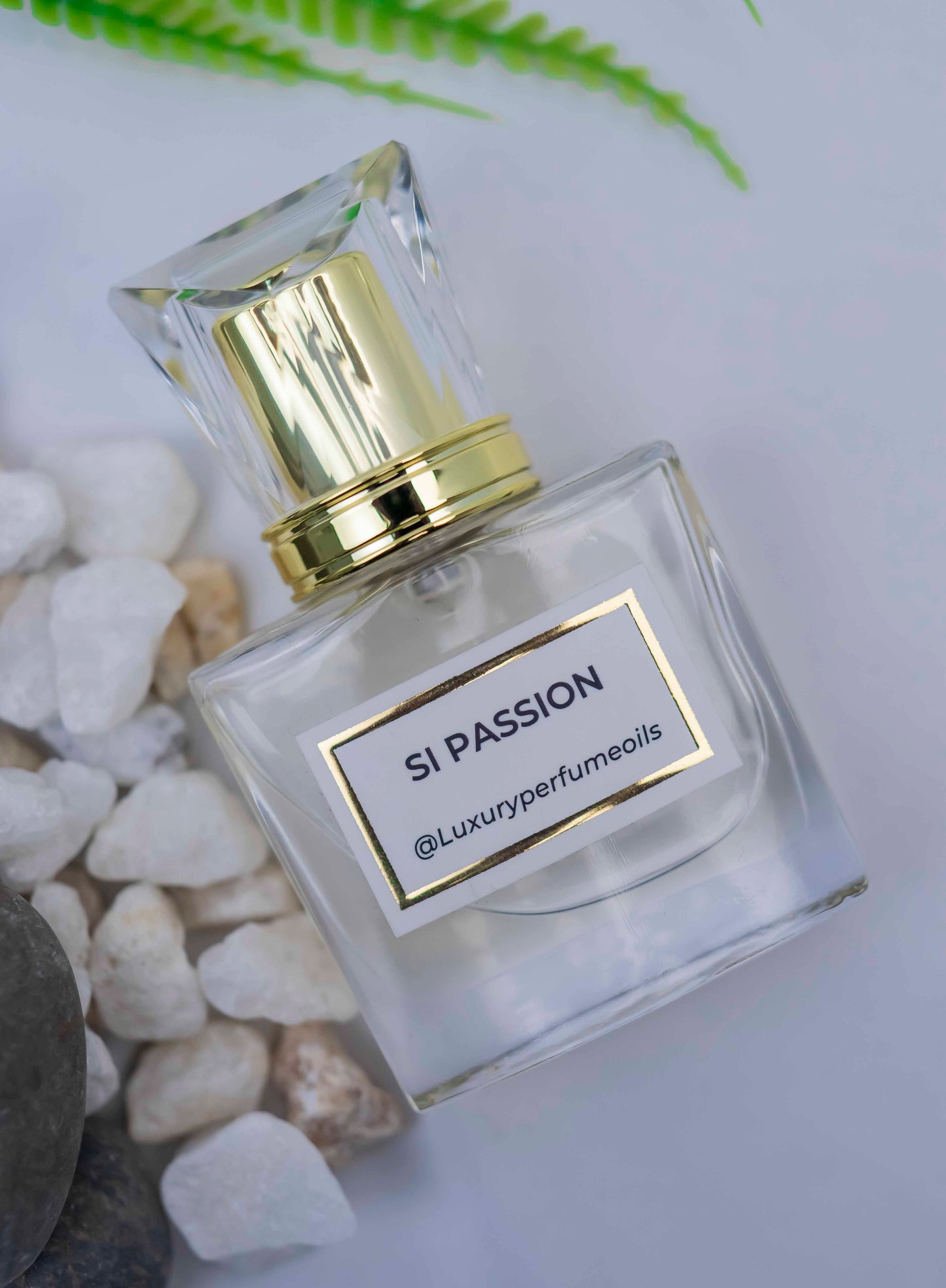 Si Passione (Inspired by Armani)