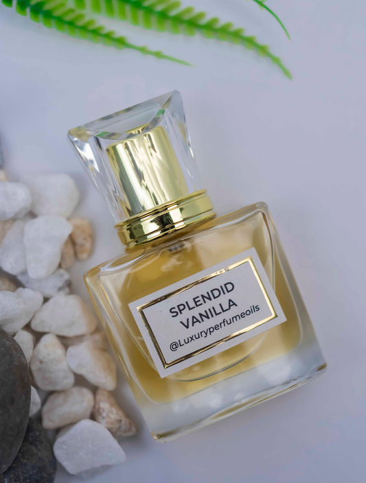 Splendid Vanilla (Inspired by Roberto Cavali)