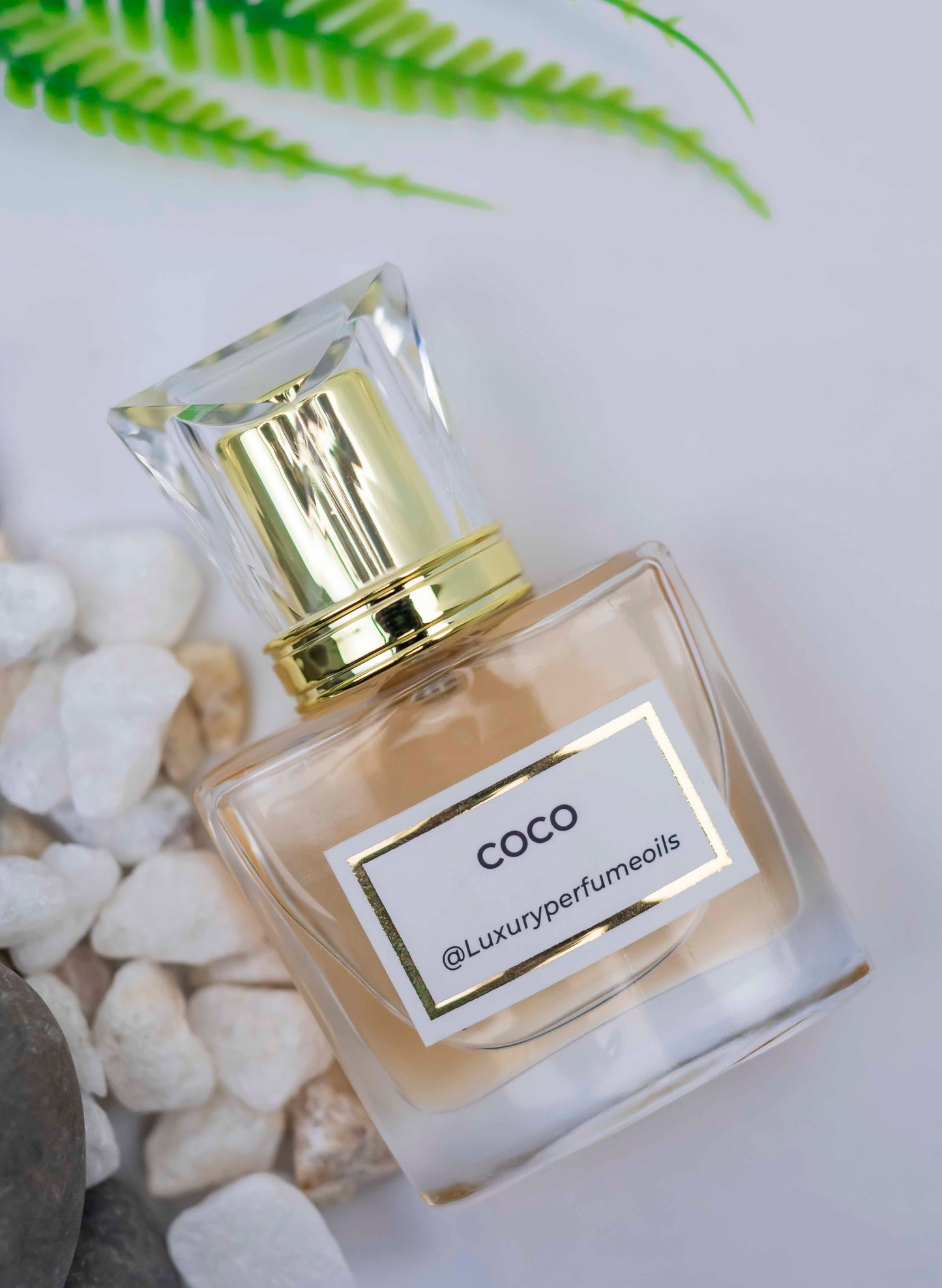 Coco Mademoiselle (Inspired by Chanel)