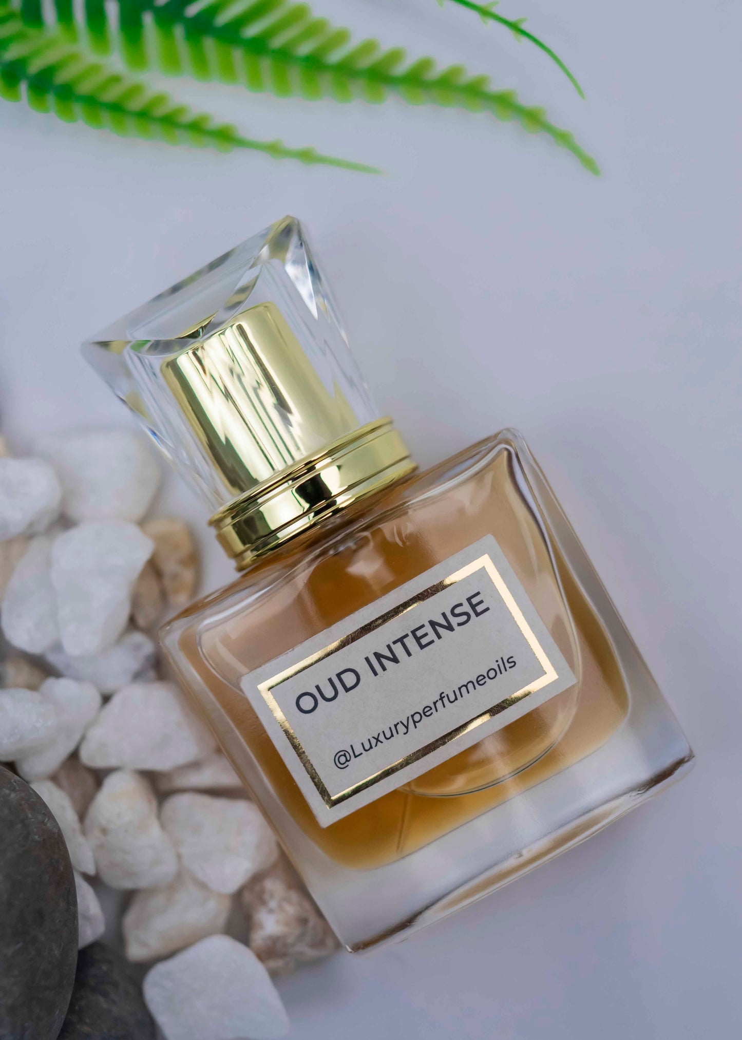 Oud Intense (Inspired by Gucci)
